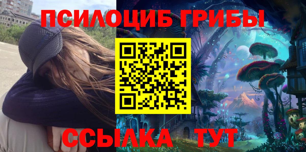 Сызрань  Псилоцибиновые грибы ЛСД  Псилоцибиновые грибы мухоморы  Вход с VPN 